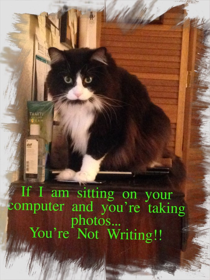 Writing distractions!